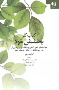 کتاب کار بخشش خود (مهارت های ذهن آگاهی و شفقت برای رهایی از خود سرزنشگری و یافتن پذیرش خود)