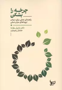 چرخه را بشکن (راهنمای عملی برای درمان تروماهای میان نسلی)