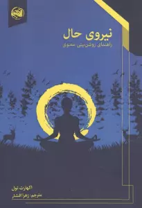 نیروی حال (راهنمای روشن بینی معنوی)