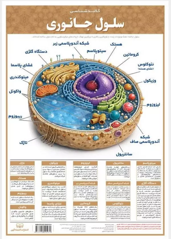پوستر وایت بردی سلول جانوری (42*30)