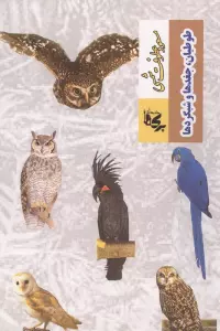 طوطیان،جغدها و شبگردها