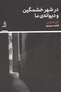 در شهر خشمگین و دیوانه ی ما