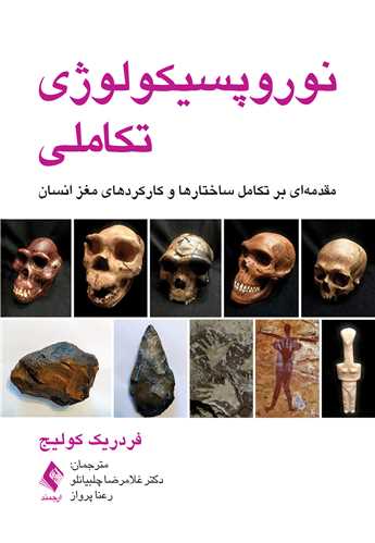 نوروپسیکولوژی تکاملی
مقدمهای بر تکامل ساختارها و کارکردهای مغز انسان | فردریک کولیج | نشر انتشارات ارجمند