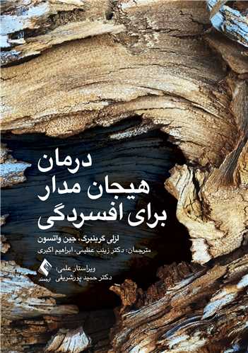 درمان هیجان مدار برای افسردگی | لزلی اس. گرینبرگ, جین سی. واتسون | نشر انتشارات ارجمند