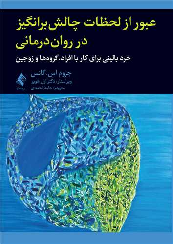 عبور از لحظات چالش‌برانگیز در روان‌درمانی
خرد بالینی برای کار با افراد، گروه‌ها و زوجین