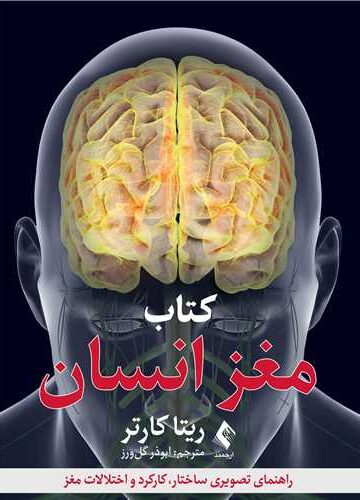 کتاب مغز انسان
راهنمای تصویری ساختار، کارکرد و اختلالات مغز | ریتا کارتر, سوزان آلدریج, مارتین پیج, استیو پارکر | نشر انتشارات ارجمند