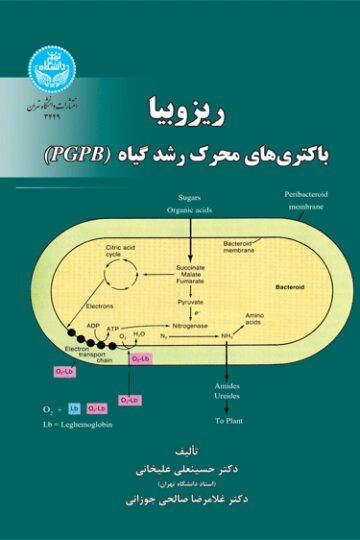 ریزوبیا، باکتری‌های محرک رشد گیاه