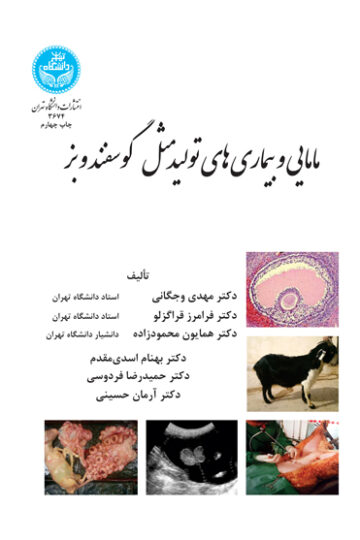 مامایی و بیماری‌های تولیدمثل گوسفند و بز