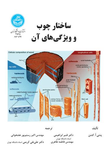 ساختار چوب و ویژگی‌های آن