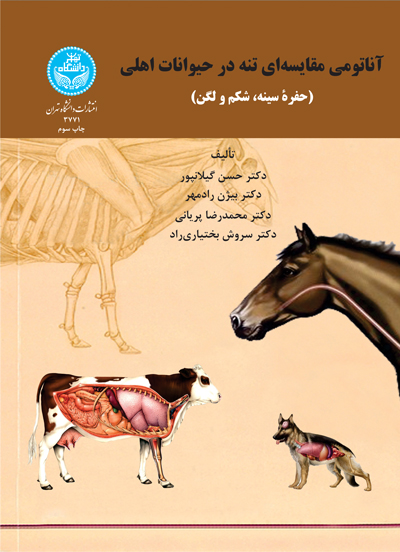 آناتومی مقایسهای تنه در حیوانات اهلی (حفره سینه، شکم و لگن) | نشر دانشگاه تهران