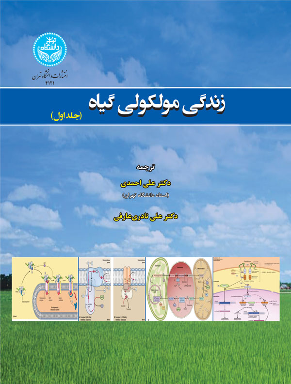 زندگی مولکولی گیاه (دوره دو جلدی) 4121-4122 | نشر دانشگاه تهران