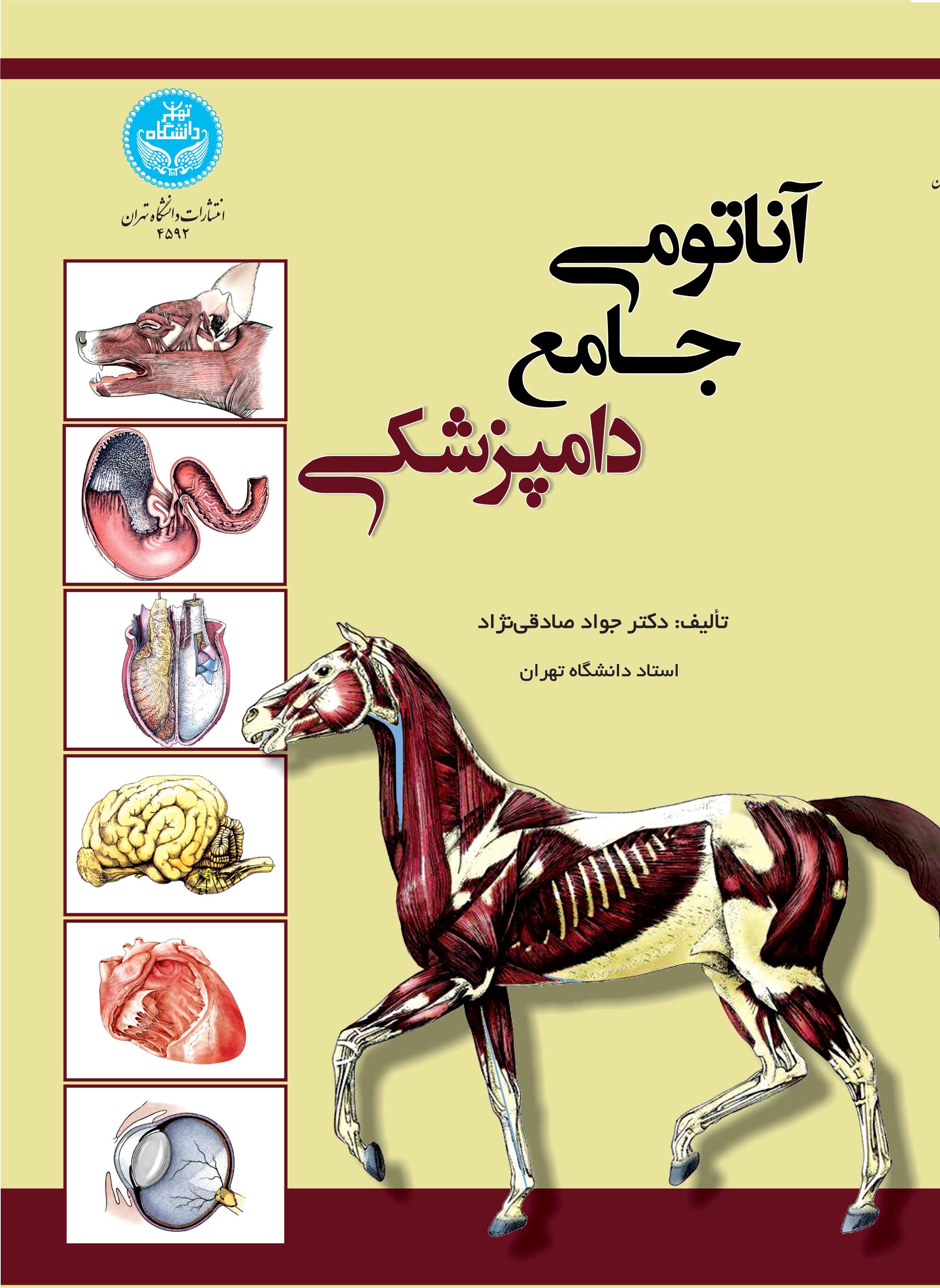 آناتومی جامع دامپزشکی | دکتر جواد صادقینژاد | نشر دانشگاه تهران