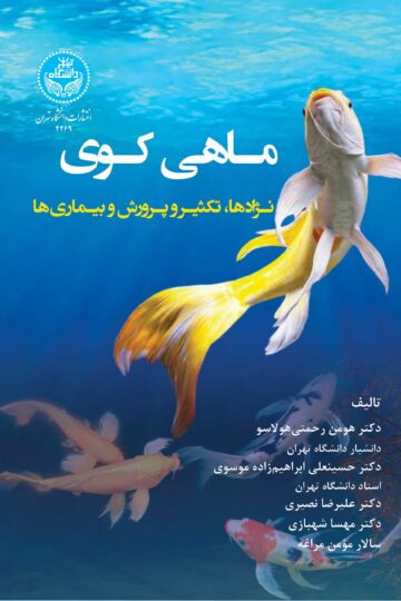 ماهی کوی: نژادها،‌تکثیر و پرورش و بیماری‌ها