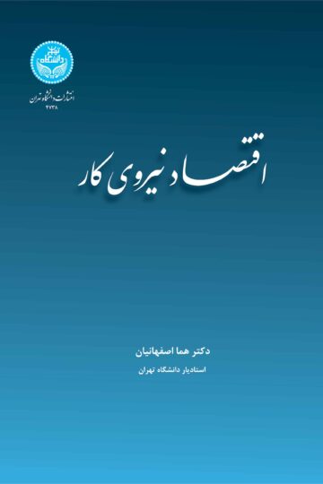 اقتصاد نیروی کار