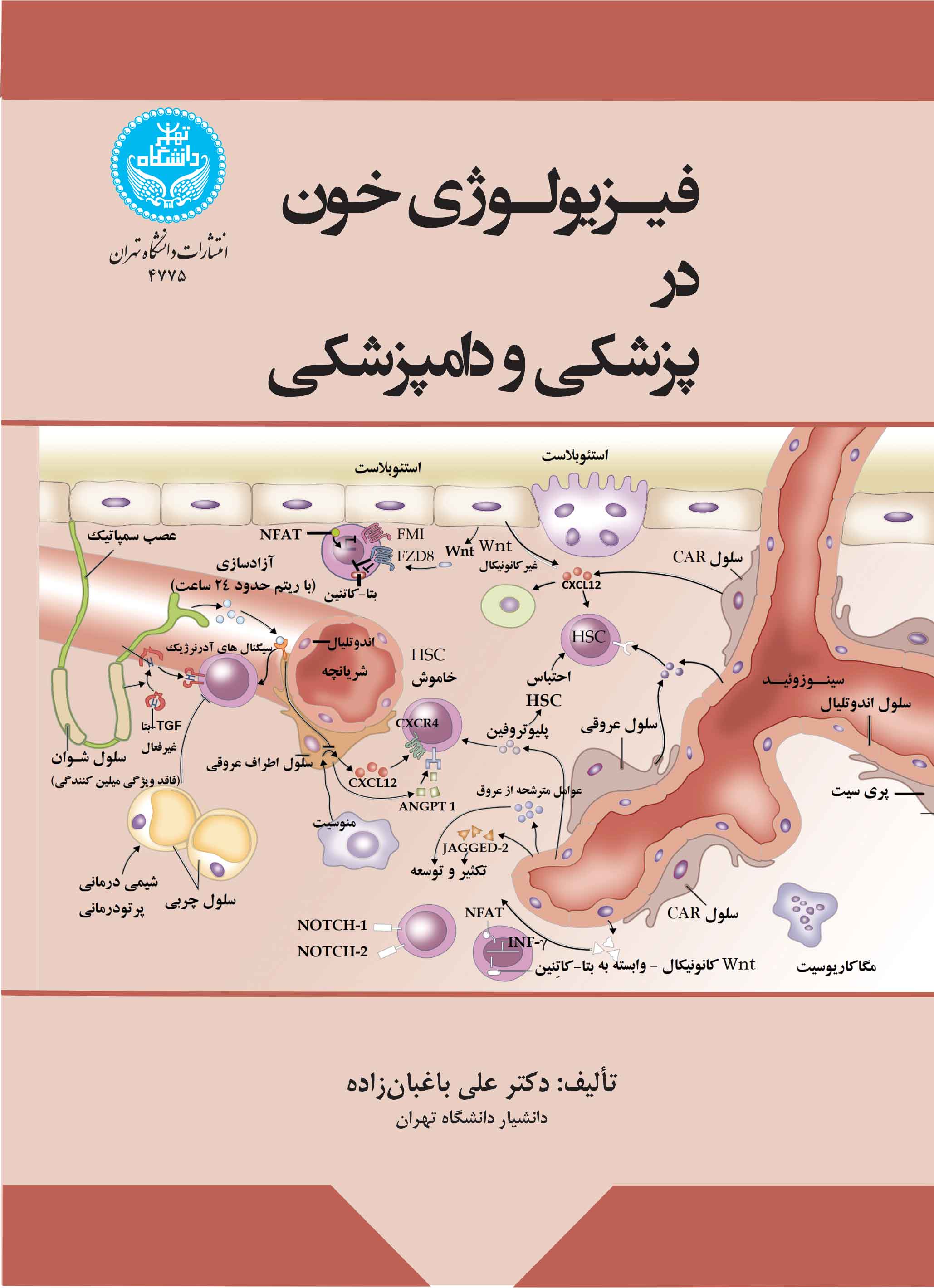 فیزیولوژی خون در پزشکی و دامپزشکی | دکتر علی باغبانزاده | نشر دانشگاه تهران