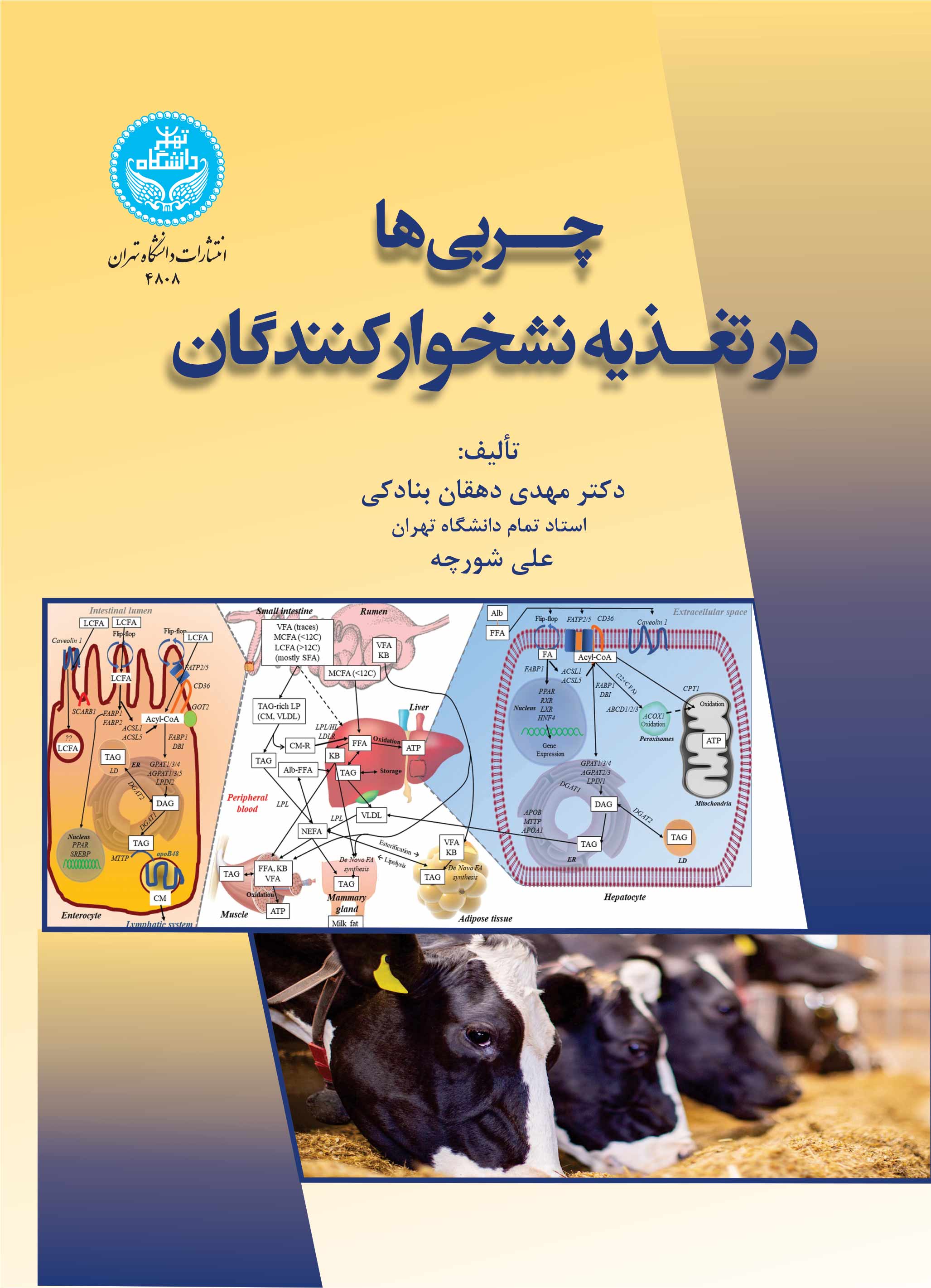 چربیها در تغذیه نشخوارکنندگان | نشر دانشگاه تهران