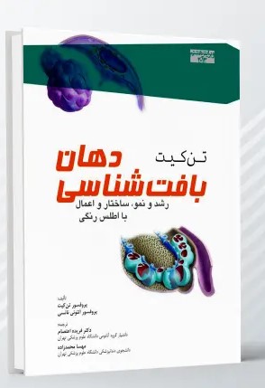 بافت شناسی دهان تن کیت