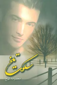 سکوت تلخ