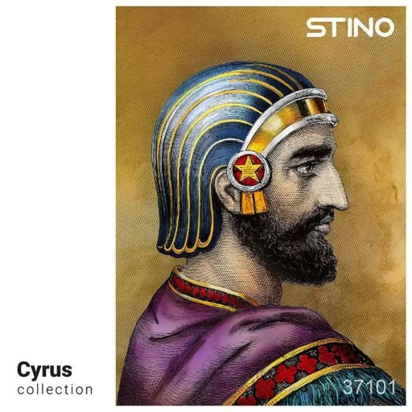 کتاب پازل شیشه ای استینو 500 تکه طرح کوروش (CYRUS)،(کد 37101)،(باجعبه) - شهاب الدین مختاری