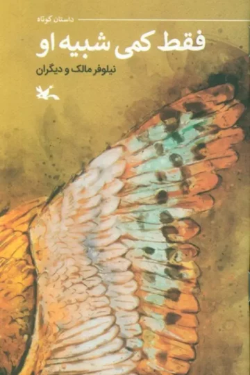 فقط کمی شبیه او (گلاسه)