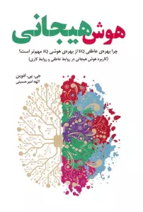 هوش هیجانی (چرا بهره عاطفی EQ از بهره هوشی IQ مهم تر است؟)