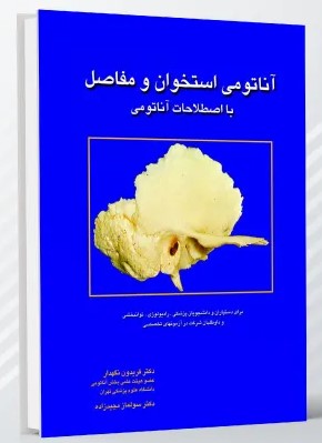 آناتومی استخوان و مفاصل با اصطلاحات آناتومی