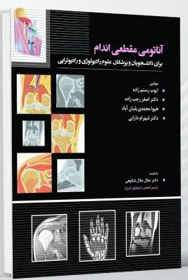 آناتومی مقطعی اندام