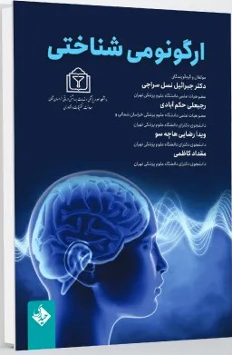 ارگونومی شناختی