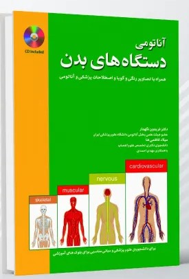 آناتومی سر و گردن و حواس ویژه