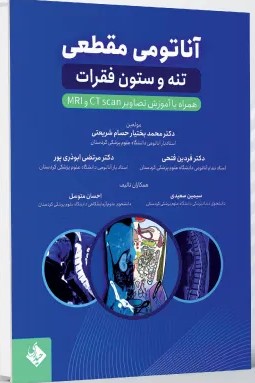 آناتومی مقطعی تنه و ستون فقرات