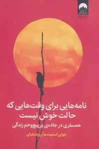 نامه هایی برای وقت هایی که حالت خوش نیست (همسفری در جاده ی پرپیچ و خم زندگی)