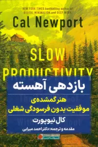 بازدهی آهسته (هنر گمشده ی موفقیت بدون فرسودگی شغلی)