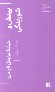 بینش و شوریدگی (اکفراسیس 8)