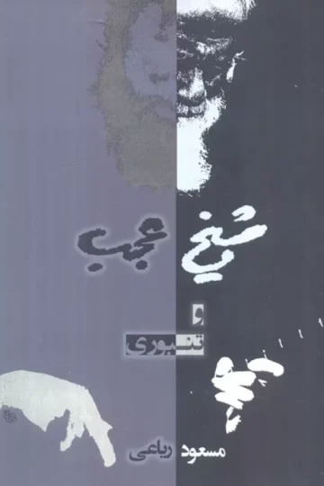 شیخ عجب و تنبوری