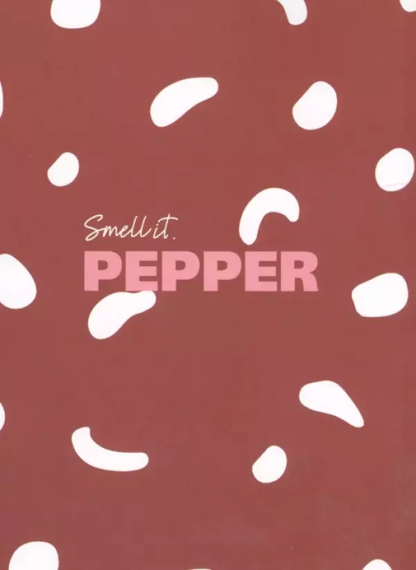 کتاب دفتر یادداشت طرح PEPPER (کد 081) - شهاب الدین مختاری