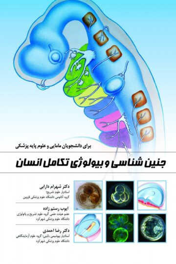 جنین شناسی و بیولوژی تکامل انسان جنین شناسی و بیولوژی تکامل انسان