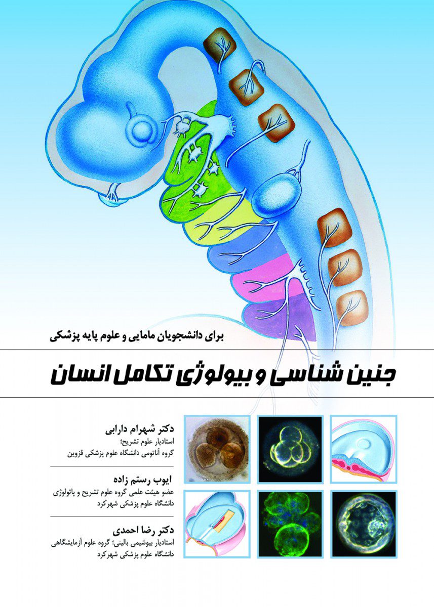 کتاب جنین شناسی و بیولوژی تکامل انسان جنین شناسی و بیولوژی تکامل انسان - انتشارات حیدری